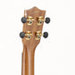 [SN 739] USED TRUTH / Akio Custom TUC-15 Truth Ukulele [08]