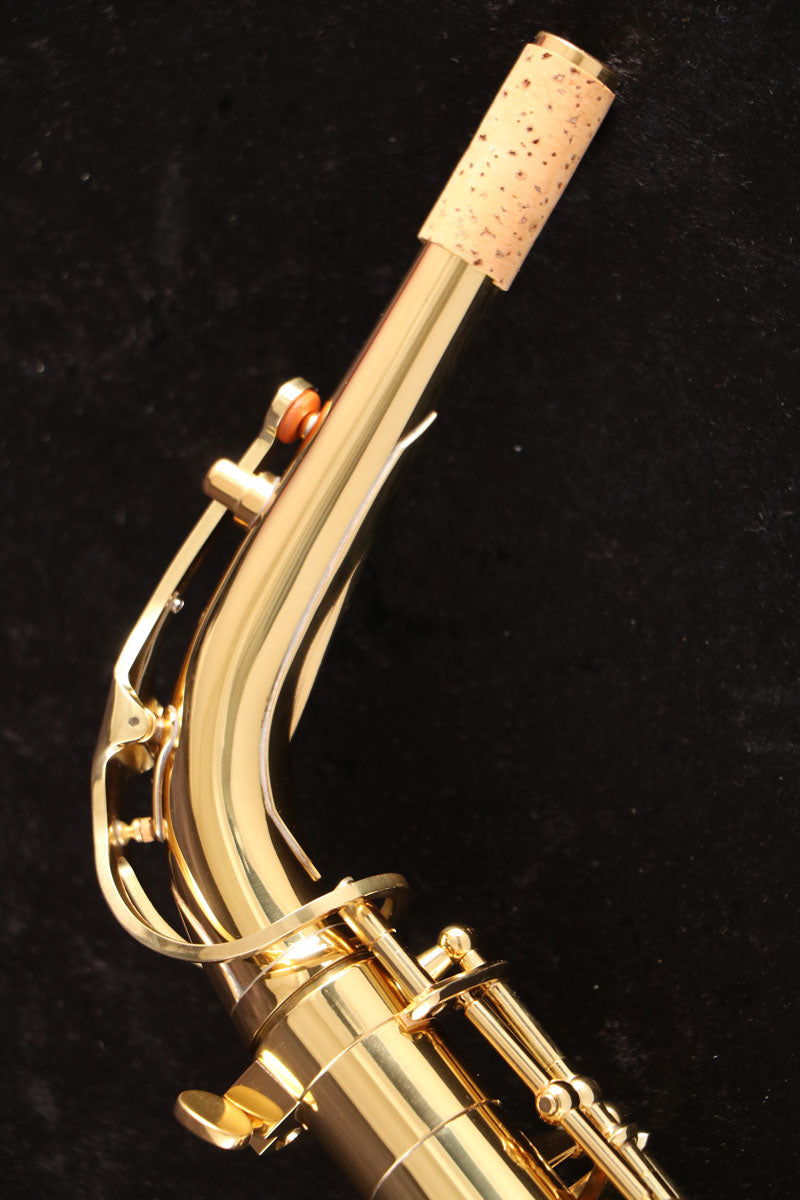 [SN E19116] USED IO Io / Alto AS1065 GL Alto saxophone [03]