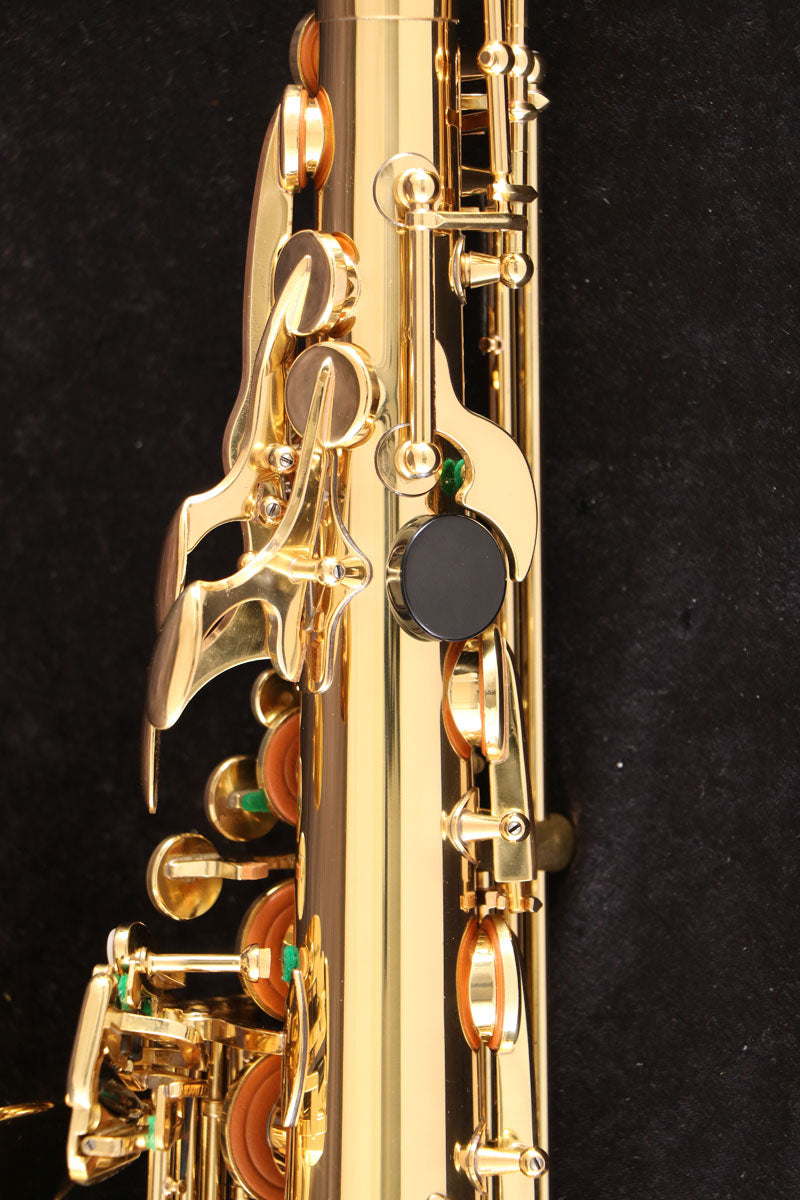 [SN E19116] USED IO Io / Alto AS1065 GL Alto saxophone [03]