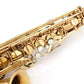 [SN 446352] USED SELMER / Alto saxophone SA80II W/E Series 2 with engraving [09]