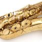 [SN 736930] USED SELMER / Alto saxophone JUBILEE S3 GL Series III with engraving [09]