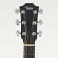 [SN 2106077116] USED Taylor Taylor / Academy 12e [20]