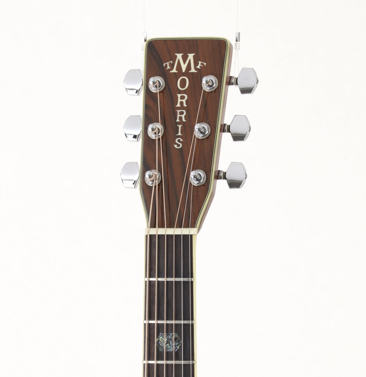 [SN 909568] USED MORRIS / TF Series W-50 Sunburst [06]