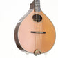 USED STEFAN SOBELL / Mandolin w-Piezo PU November 1996y SAS [10]