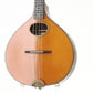 USED STEFAN SOBELL / Mandolin w-Piezo PU November 1996y SAS [10]