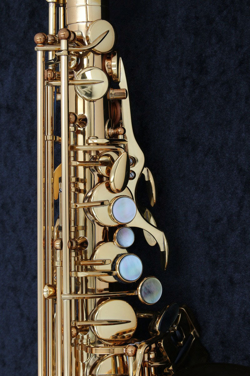 [SN 050007] USED No Brand / Alto Saxophone Bronze AS82 [03]