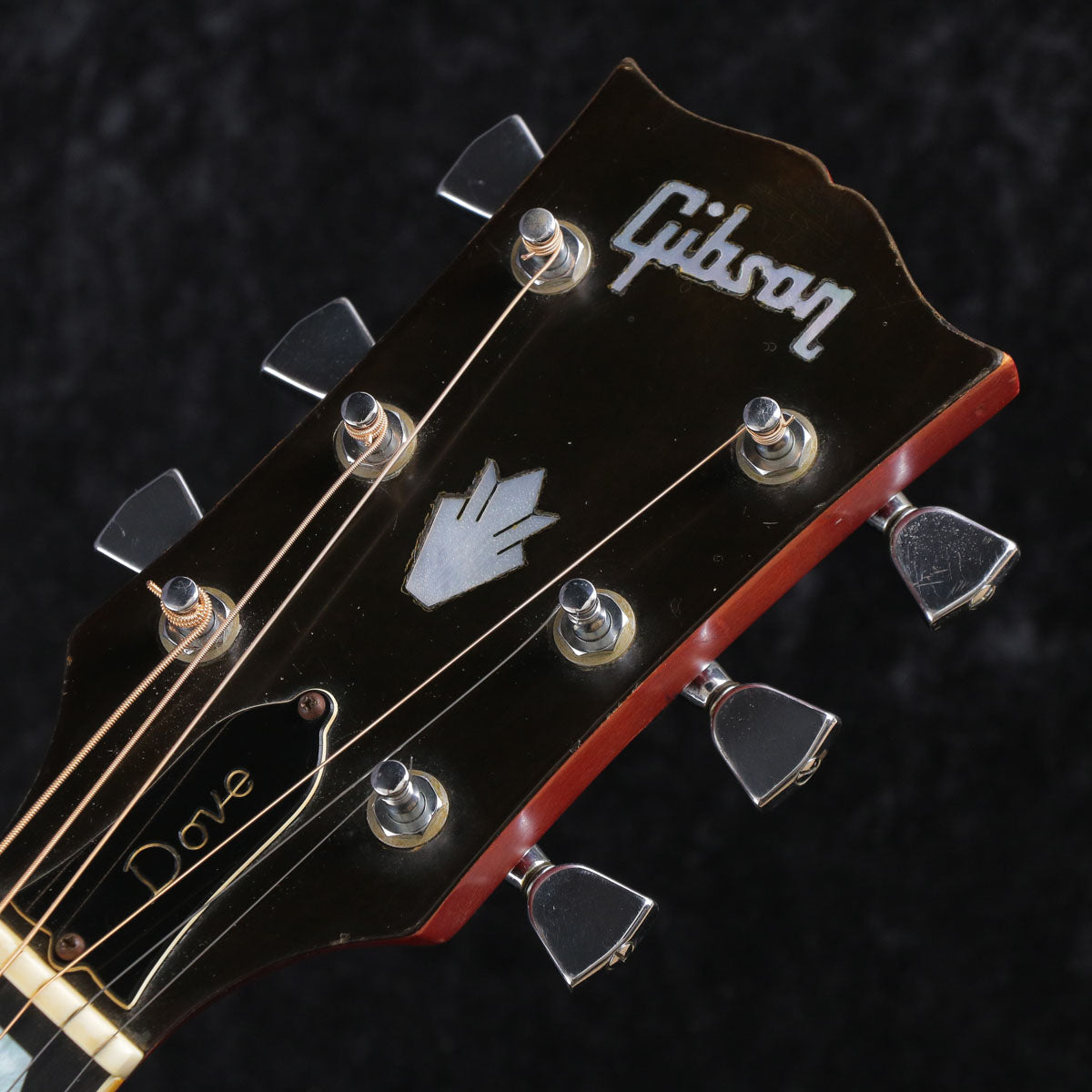 [SN 735272] USED GIBSON / DOVE CUSTOM CS [03]