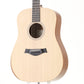 [SN 2103028271] USED TAYLOR / Academy 10 [10]