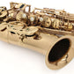 [SN 393685] USED SELMER / Alto saxophone SA80II W/O Series 2, no engraving, all tampos replaced [09]