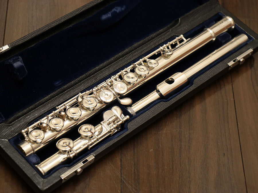 All Silver [Wind Instruments › Flute › All Silver]