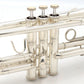 [SN AH03020009] USED BACH / TR600 SP [11]