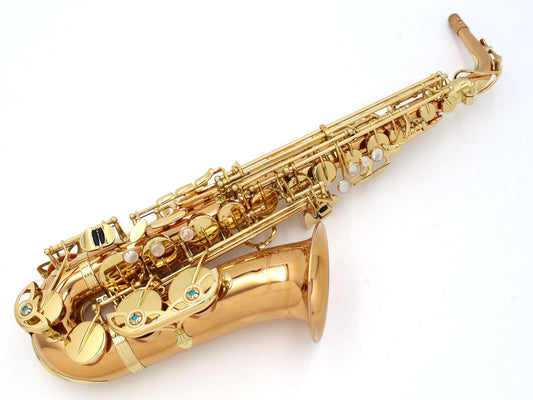 [SN 00404971] USED YANAGISAWA / Alto saxophone A-WO2 [20]