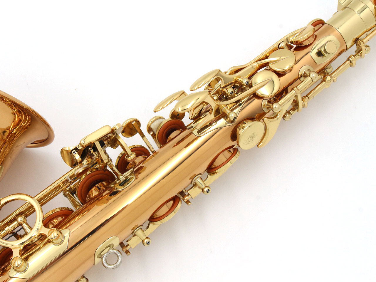 [SN 00404971] USED YANAGISAWA / Alto saxophone A-WO2 [20]