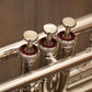 [SN 003208] USED YAMAHA / Yamaha YTR-8335HGS B flat trumpet [10]