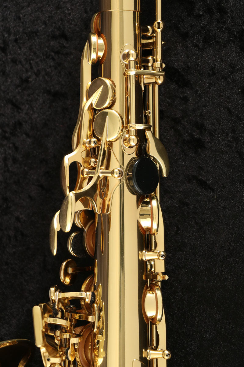 USED SELMER Selmer / Alto SA80II Jubilee Series 2 SN.779xxx Alto Saxophone [03]