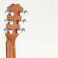 [SN 2105288505] USED TAYLOR / GS mini-e Walnut [10]