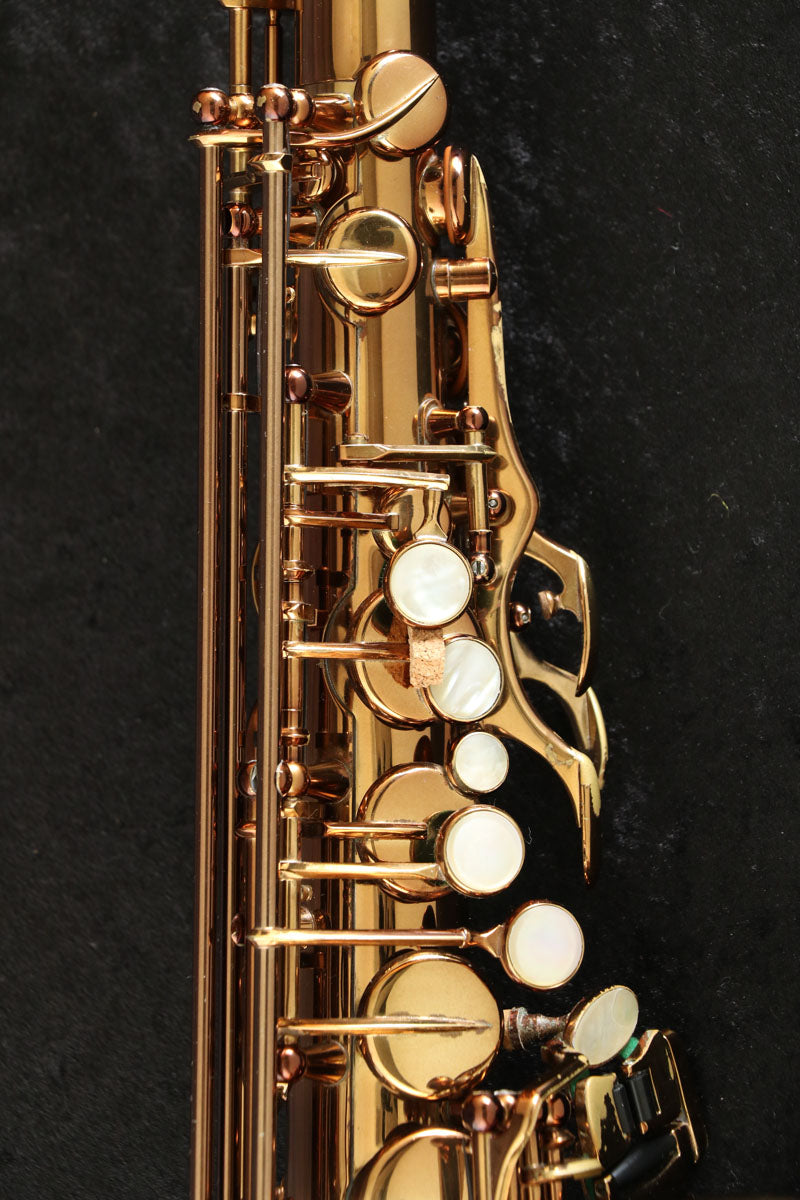 [SN V0025] USED Wood Stone Wood Stone / Alto New Vintage VL III Alto Saxophone [03]