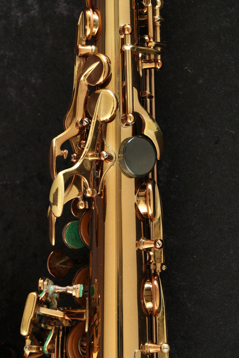 [SN V0025] USED Wood Stone Wood Stone / Alto New Vintage VL III Alto Saxophone [03]