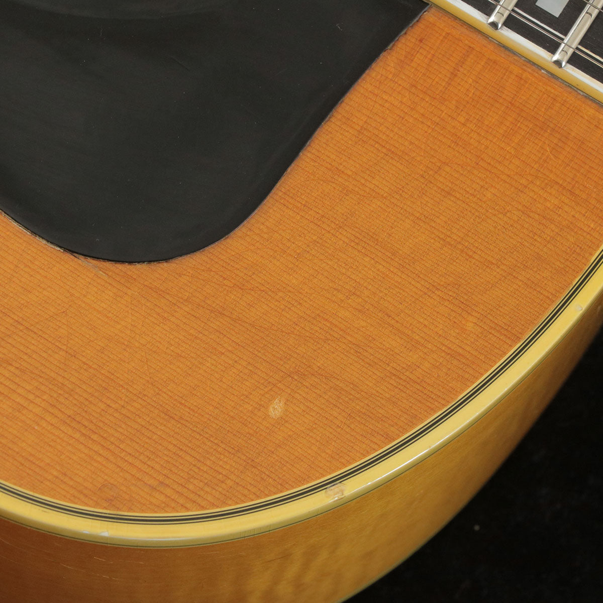 [SN 175414] USED GUILD / F50 BL [03]