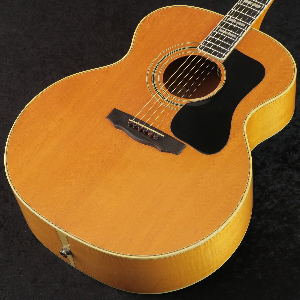 [SN 175414] USED GUILD / F50 BL [03]