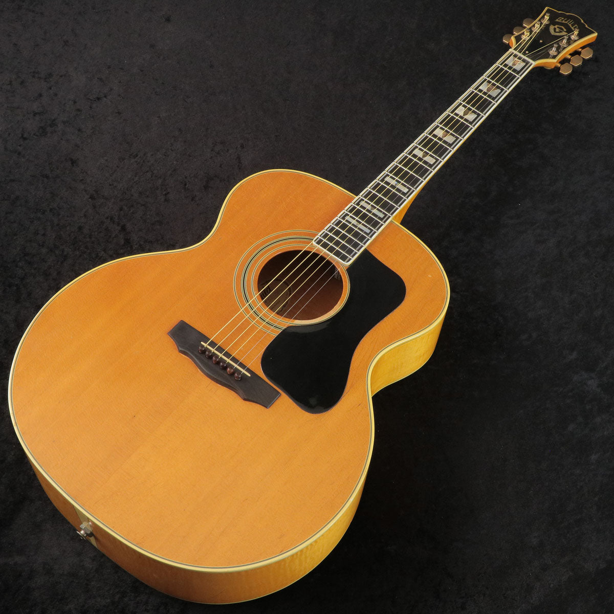 [SN 175414] USED GUILD / F50 BL [03]