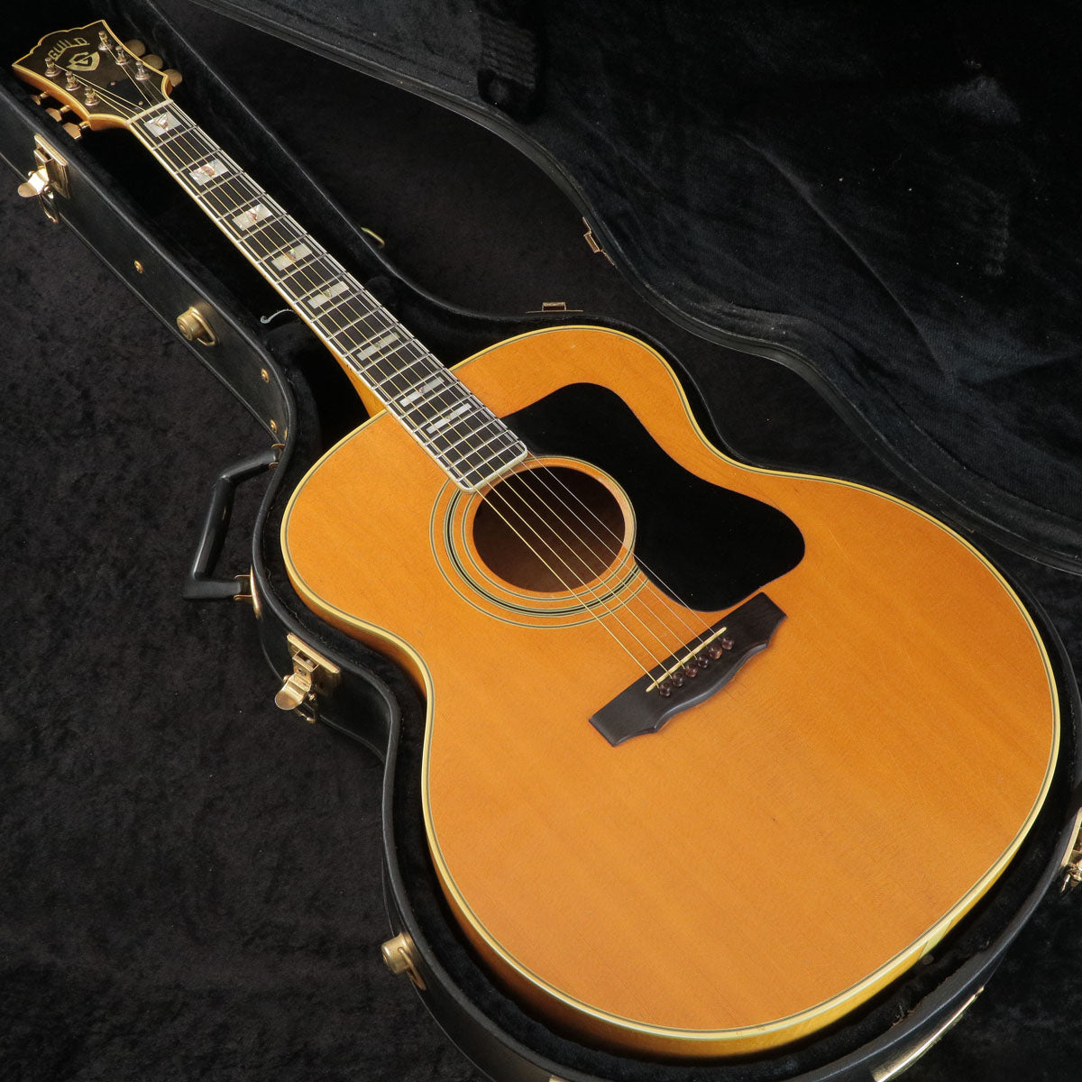 [SN 175414] USED GUILD / F50 BL [03]