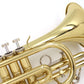 [SN 120809] USED CAROL BRASS / CCR-2000-YSS Lacquer Finish [09]