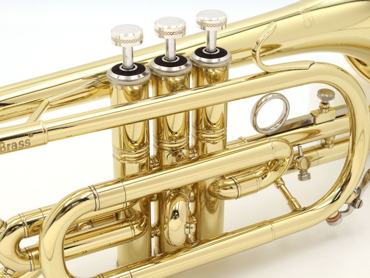 [SN 120809] USED CAROL BRASS / CCR-2000-YSS Lacquer Finish [09]