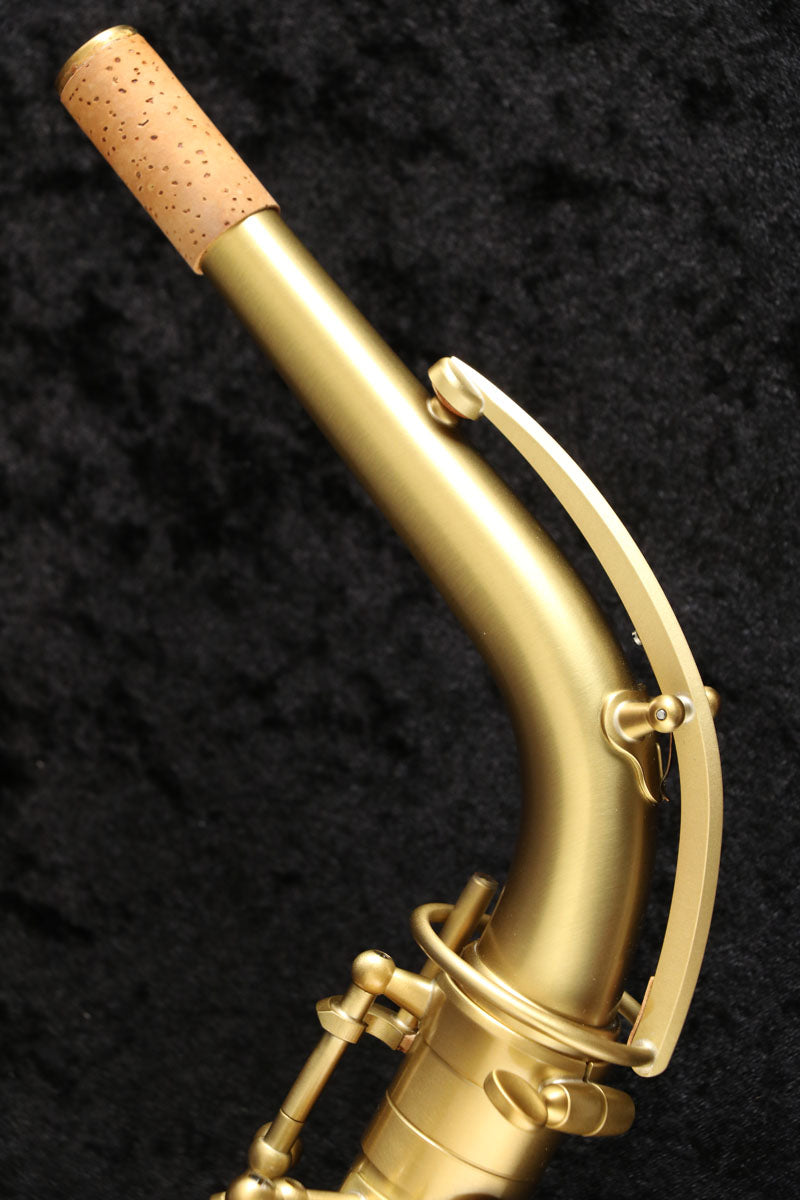 [SN 815266] USED Adolphe SAX Adolphe sax / Alto Adolphe sax limited [03]