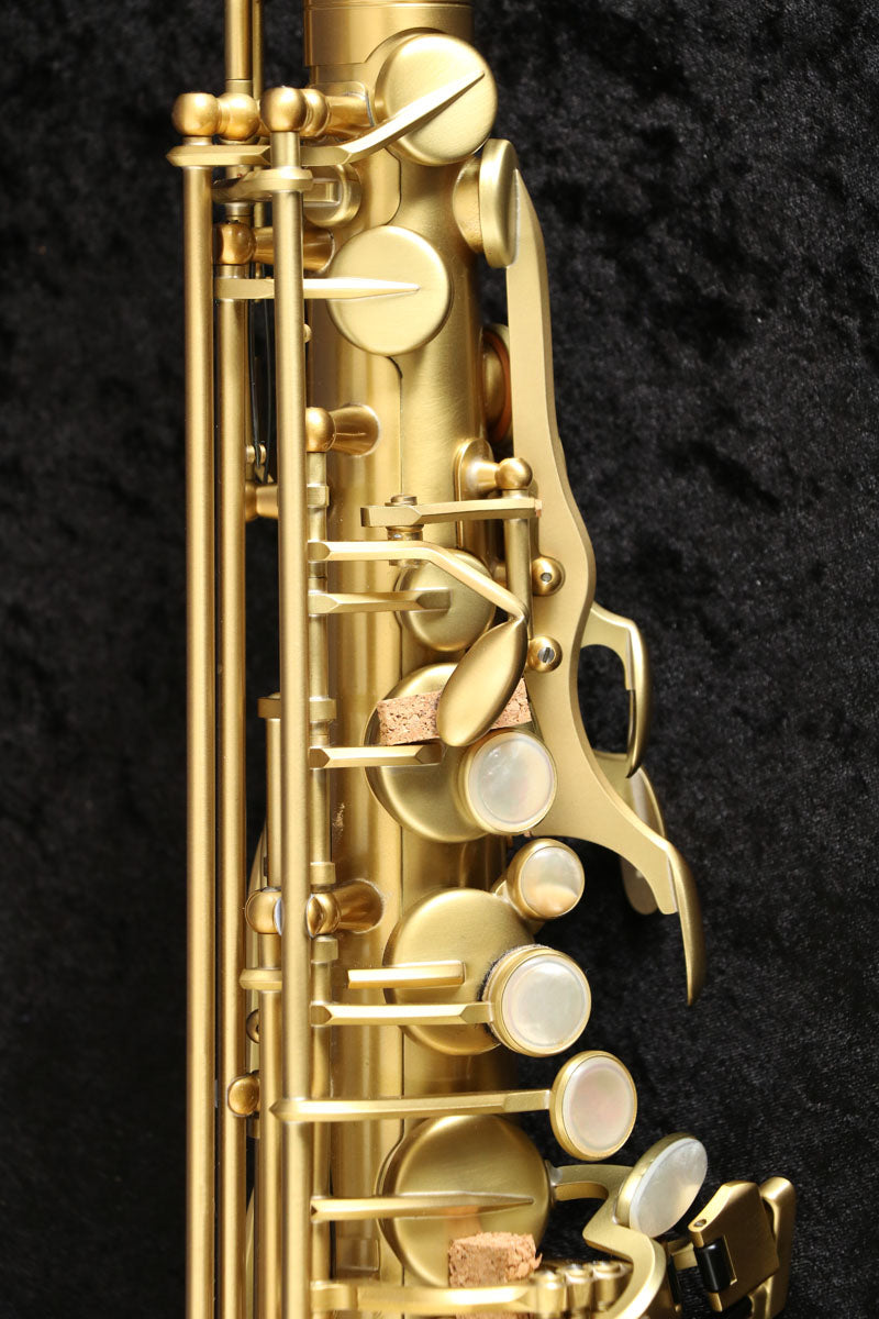 [SN 815266] USED Adolphe SAX Adolphe sax / Alto Adolphe sax limited [03]