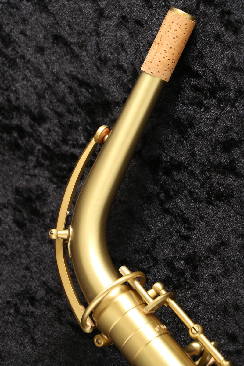 [SN 815266] USED Adolphe SAX Adolphe sax / Alto Adolphe sax limited [03]