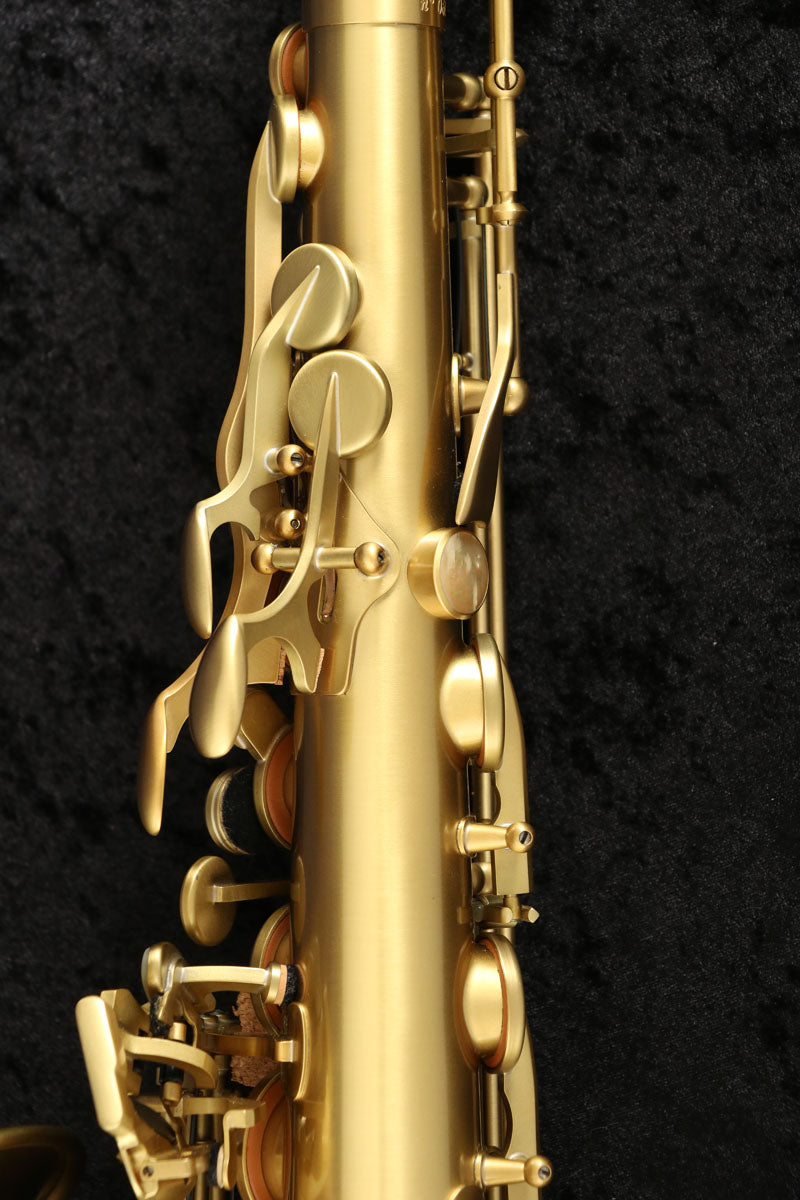 [SN 815266] USED Adolphe SAX Adolphe sax / Alto Adolphe sax limited [03]