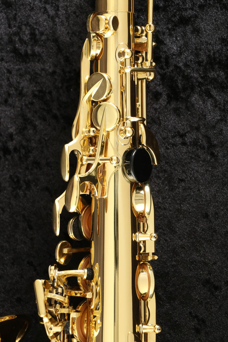 [SN 822130] USED SELMER Selmer / Alto AXOS 2ND Generation Axos Alto Saxophone [03]