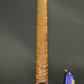 [SN 2928] USED Xotic / XSC-2 Purple Metallic Heavy Aged Alder RM-IR Gold 2023 [03]