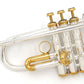 [SN 0651] USED BACH / Trumpet 197 NEW YORK 7 Limited Edition [09]