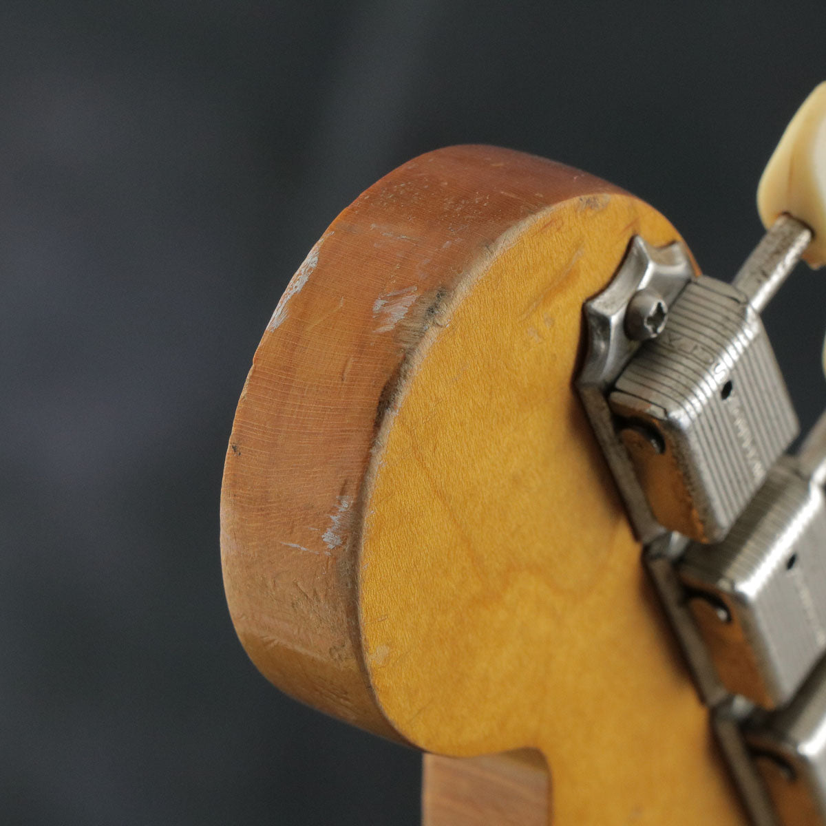 [SN L36107] USED FENDER USA / DUO SONIC 1964 [09]