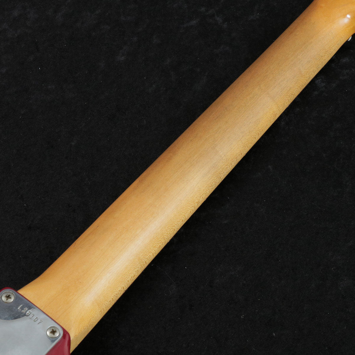[SN L36107] USED FENDER USA / DUO SONIC 1964 [09]