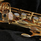 [SN 19098J] USED BORGANI / Tenor GP Plate Tenor saxophone [03]