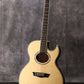 [SN CC240403519] USED Washburn / EA20SNB [03]