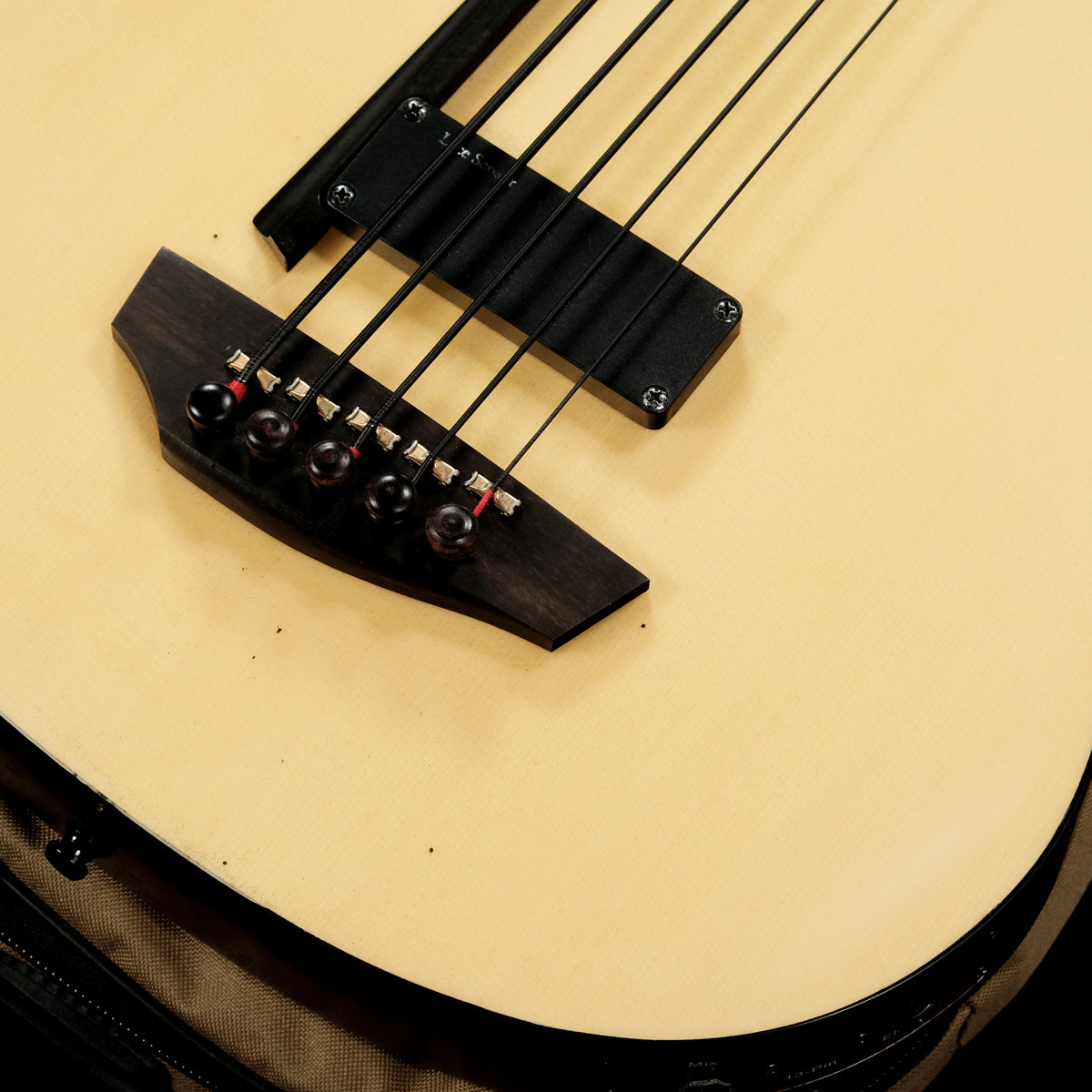 [SN 14353140] USED Godin / A5 Ultra Natural [06]