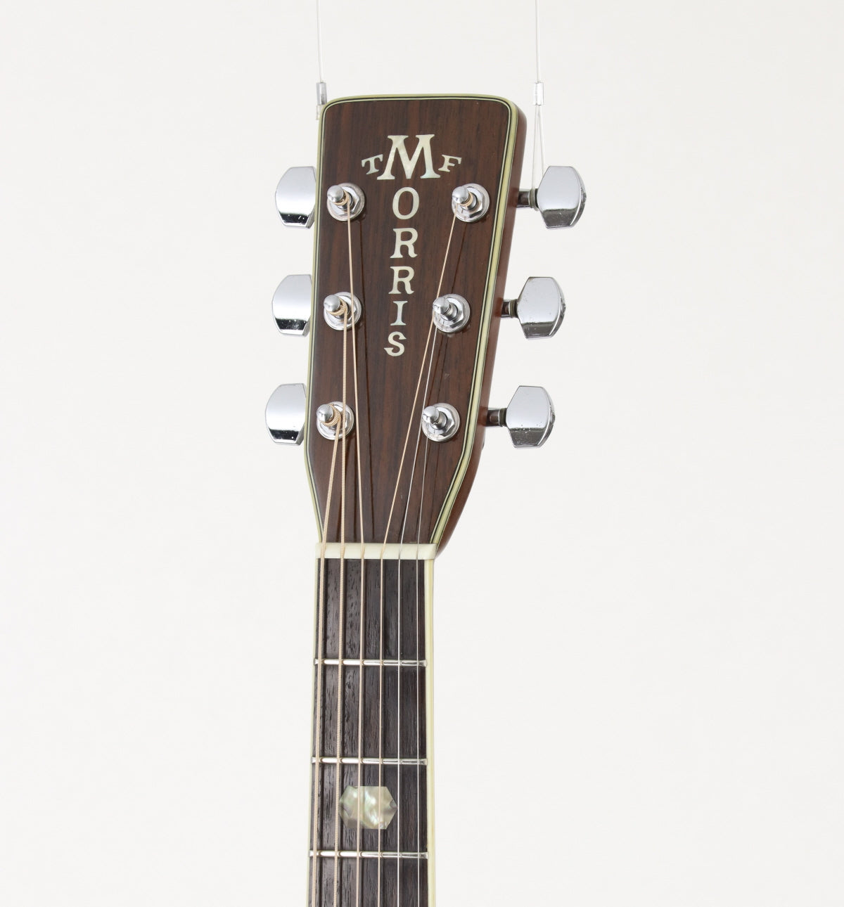 [SN 812266] USED MORRIS / TF Series W-50 Natural [06]