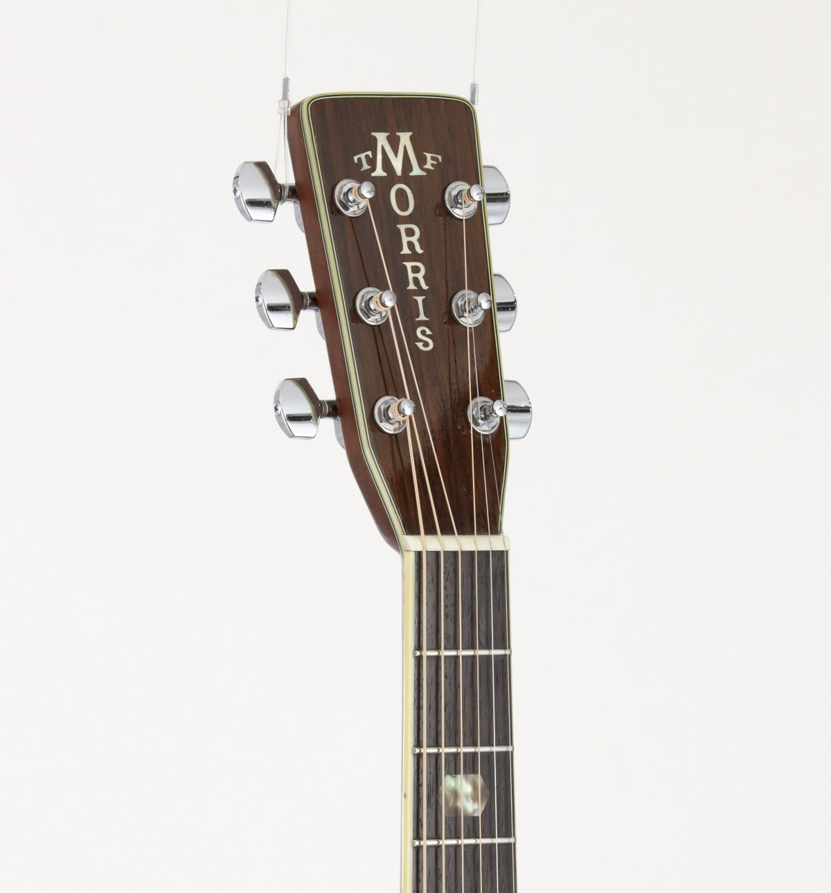 [SN 812266] USED MORRIS / TF Series W-50 Natural [06]