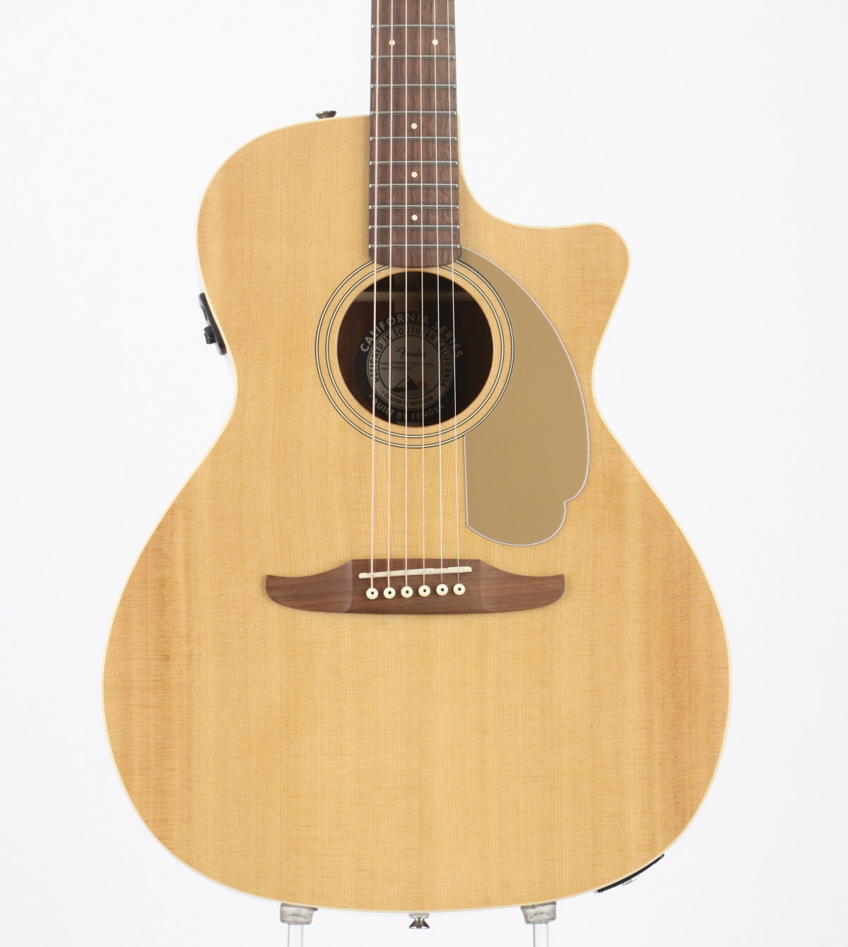 Electric Acoustic Guitar [Acoustic Guitar/Electric Acoustic Guitar › Electric Acoustic Guitar]