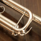 [SN C48662] USED YAMAHA / Yamaha YTS-850GS B flat trumpet [10]