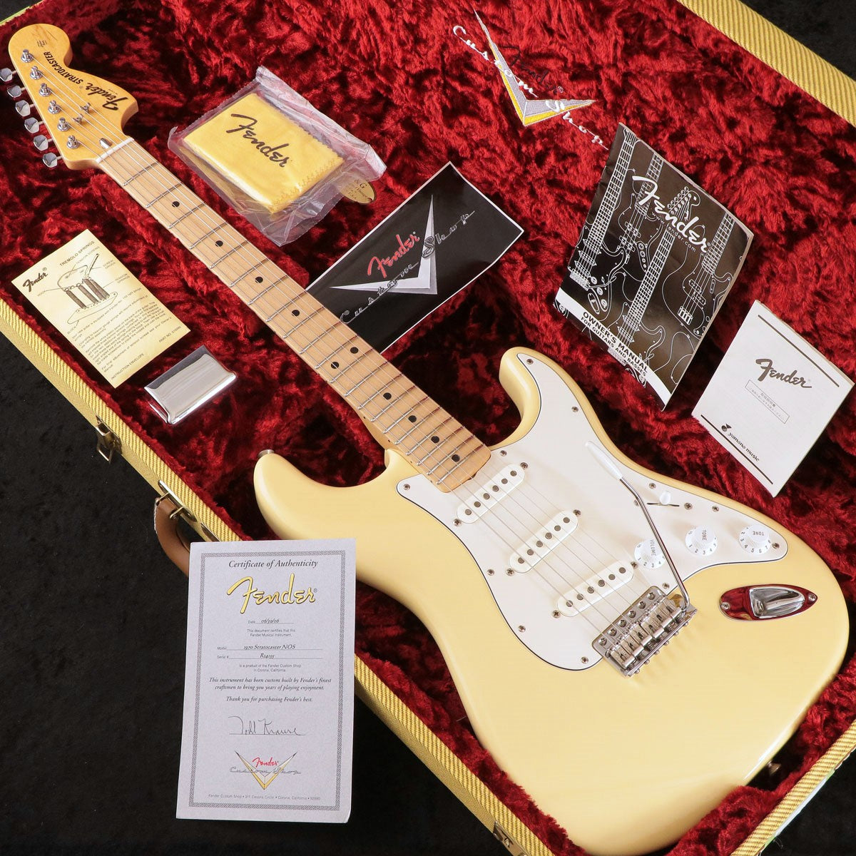 Stratocaster type [Electric guitar › Stratocaster type