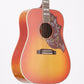 [SN 10834041] USED GIBSON MONTANA / Hummingbird HCS [10]