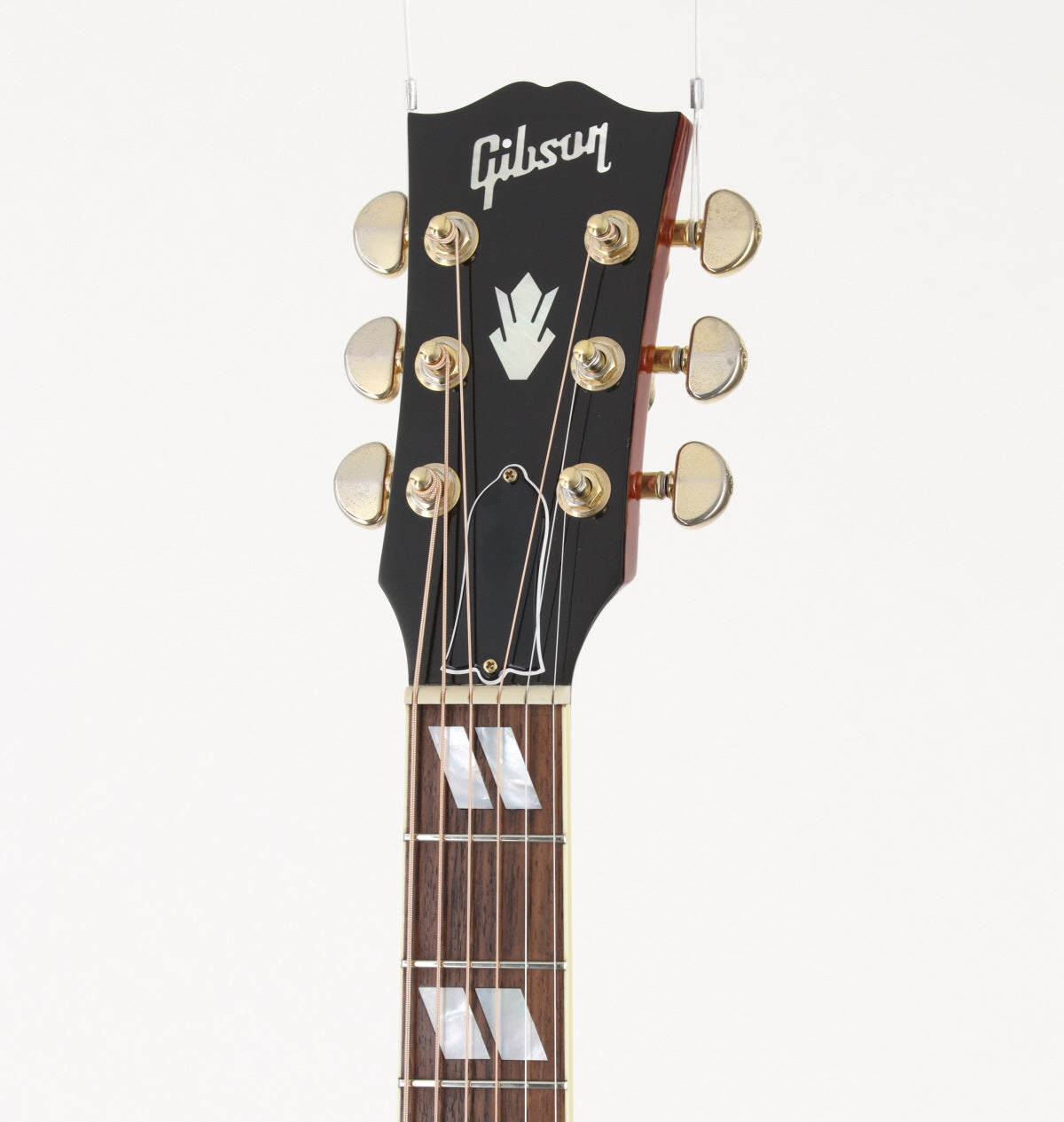 [SN 10834041] USED GIBSON MONTANA / Hummingbird HCS [10]