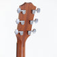 [SN 2103037216] USED Taylor Taylor / Academy 10 [12]