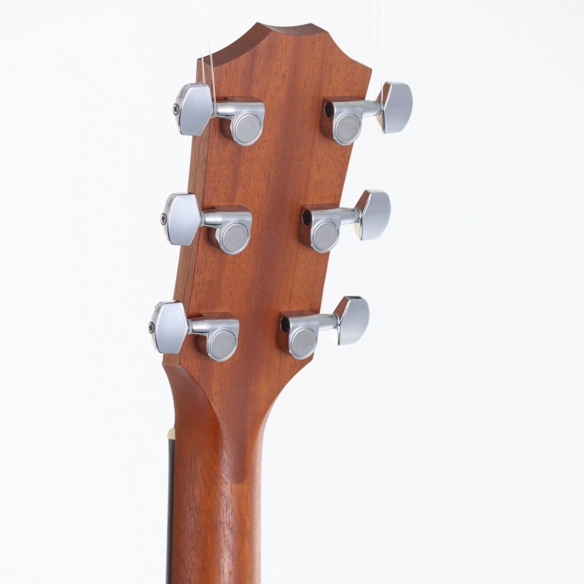 [SN 2103037216] USED Taylor Taylor / Academy 10 [12]
