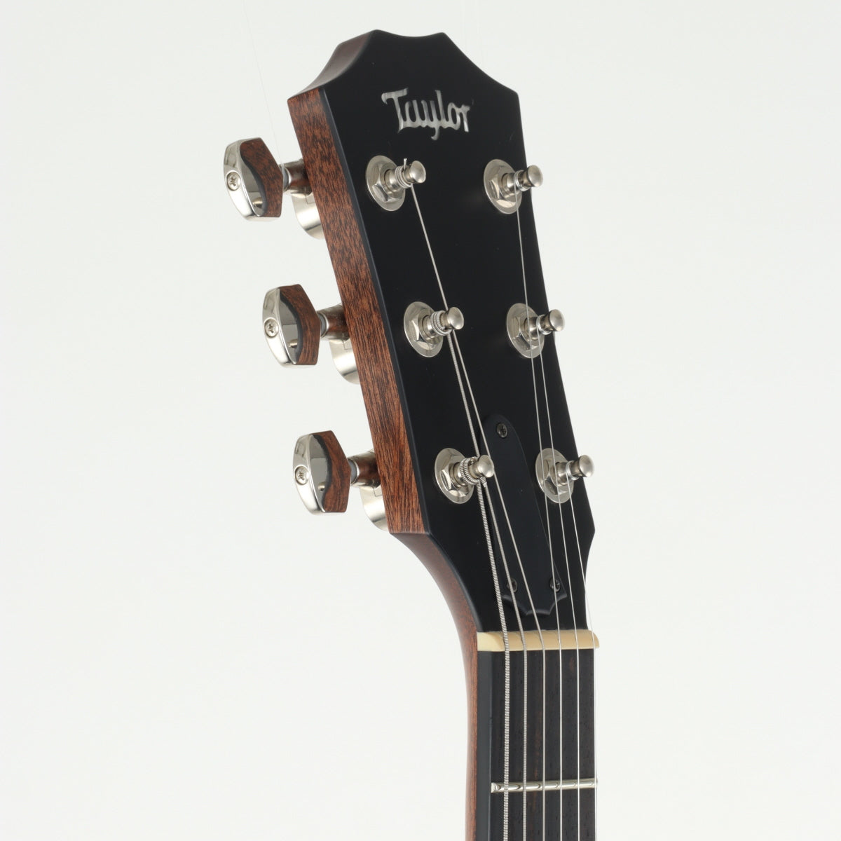 [SN 1111049100] USED Taylor / T5z Classic Natural [11]